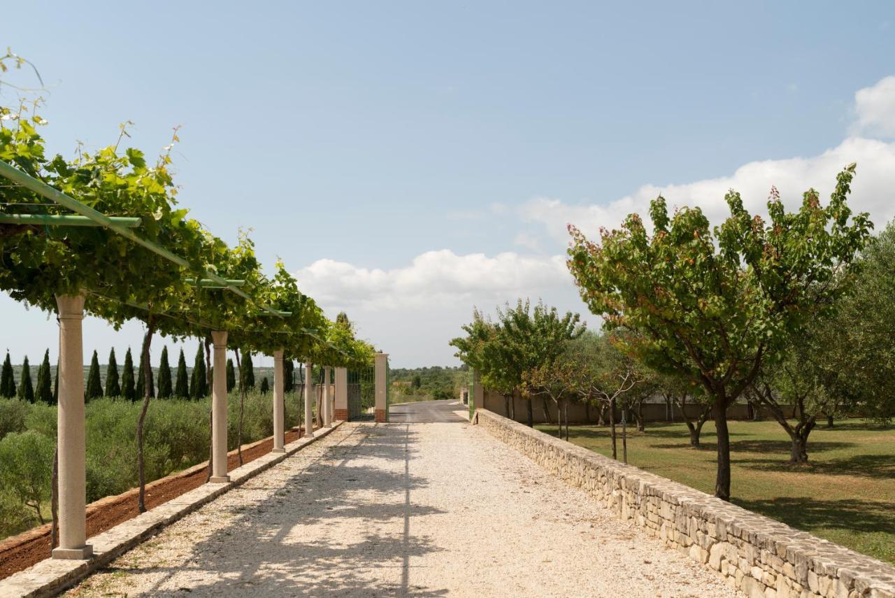Villa Albina & Domenica Zadar Extérieur photo