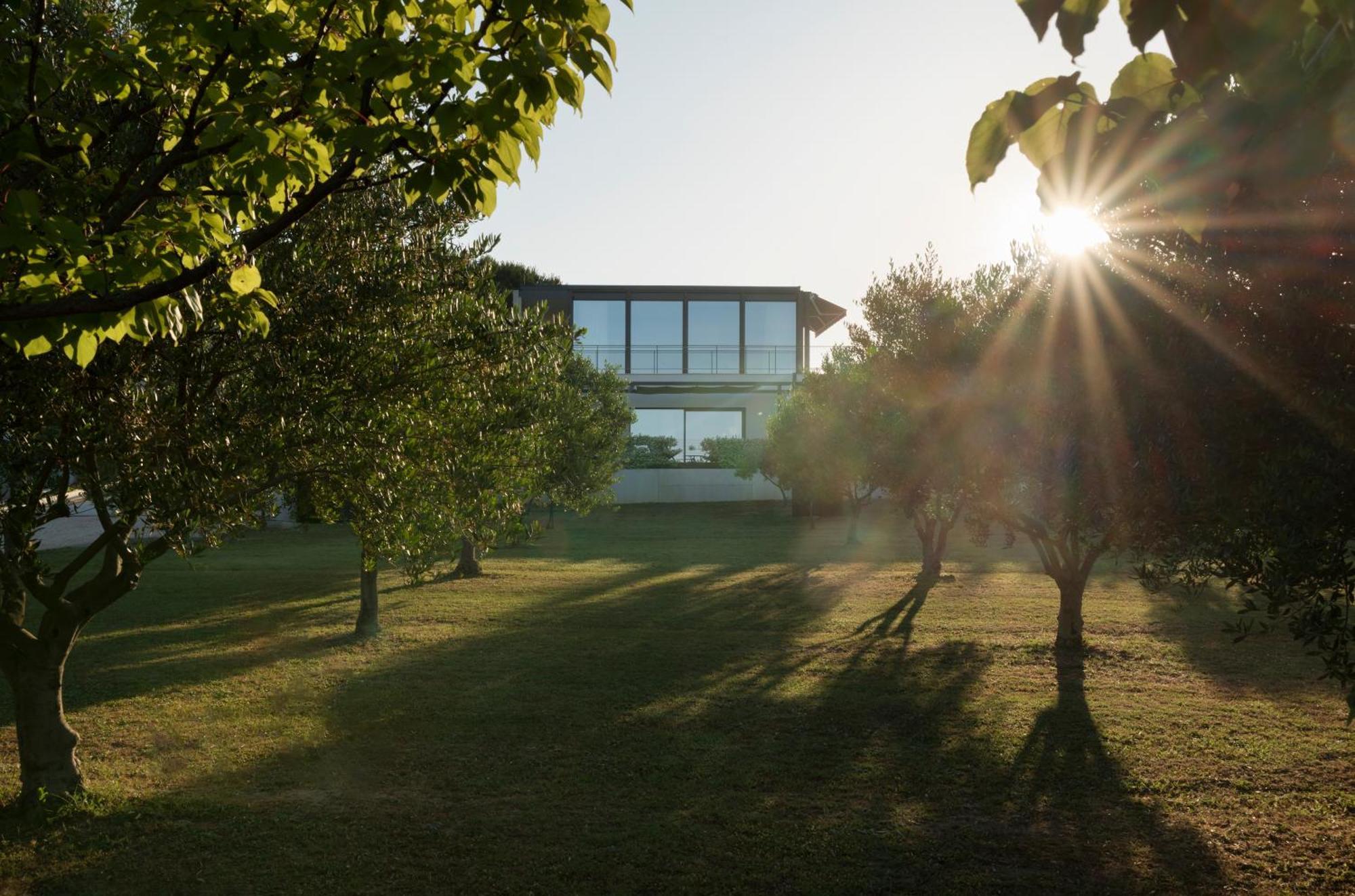 Villa Albina & Domenica Zadar Chambre photo